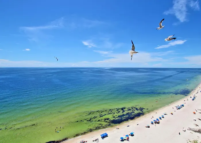 Crystal Shores West 1205 By Youngs Suncoast *